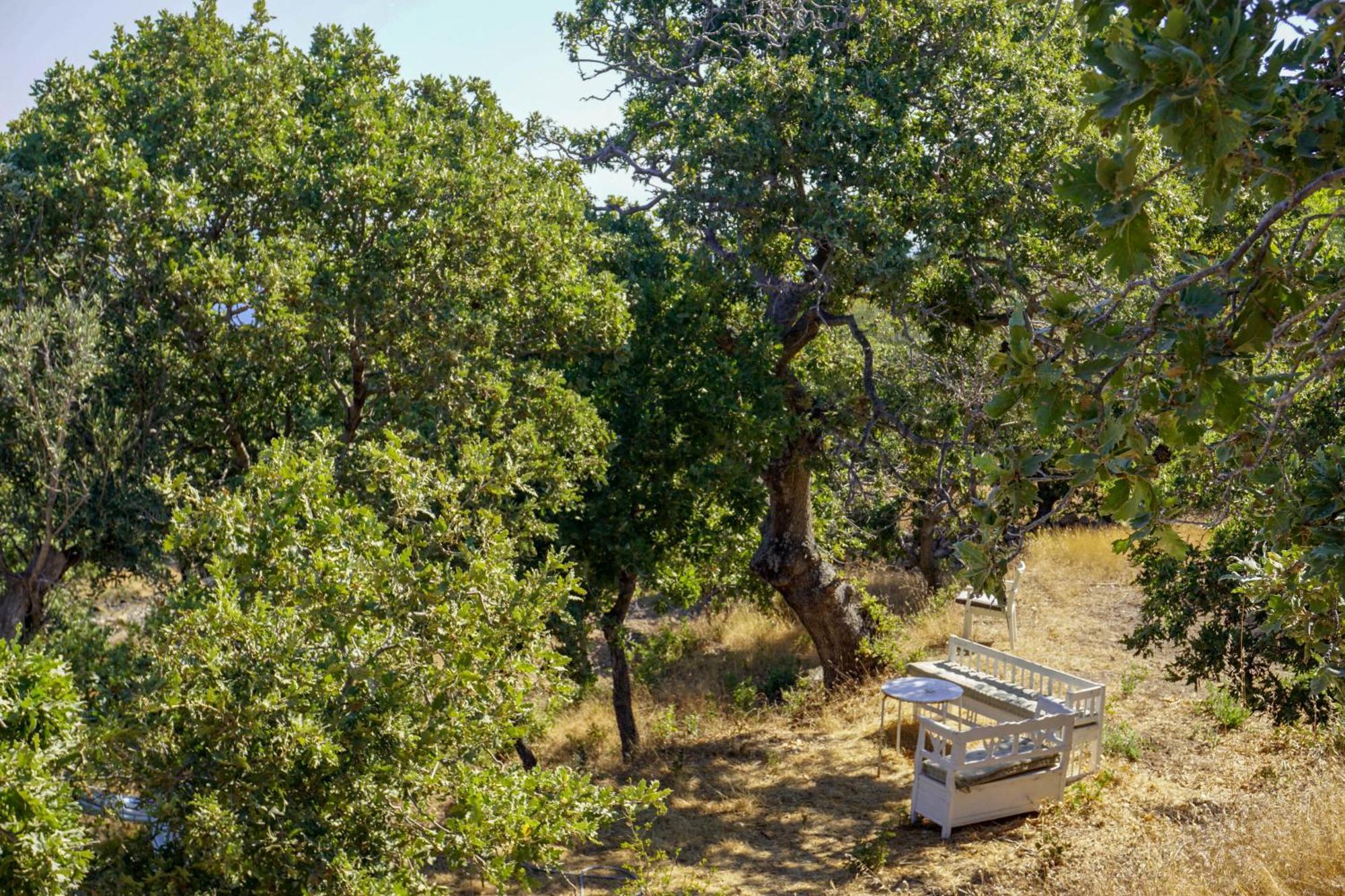 My Old Stone House In A 2 000 Sqm Private Garden With Fab Glamping Tent Mandrákion 외부 사진